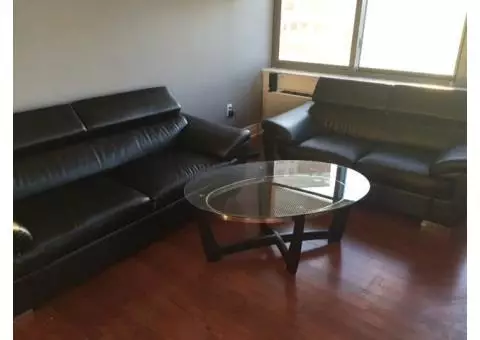 Comtemporary Couch & Loveseat set